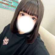 ヒメ日記 2026/03/07 12:01 投稿 ネリネ 飾窓