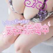 ヒメ日記 2025/11/19 20:19 投稿 まる 白いぽっちゃりさん五反田店