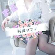 ヒメ日記 2025/11/22 18:35 投稿 まる 白いぽっちゃりさん五反田店