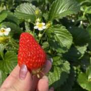 いずみ 🐰今日から復帰です🐰 Queen Angel(クイーンエンジェル)