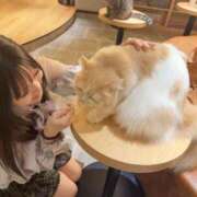 ヒメ日記 2025/11/18 17:31 投稿 相葉のどか デリス新宿