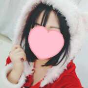 すみれ 12月ですね🎄 マツタケヒロシ