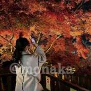 ヒメ日記 2025/12/07 09:00 投稿 もなか バカンス学園　谷九校