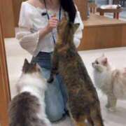 ヒメ日記 2025/12/29 23:00 投稿 もなか バカンス学園　谷九校