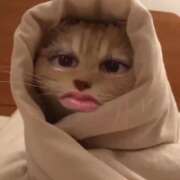 ヒメ日記 2026/03/17 12:39 投稿 もなか バカンス学園　谷九校