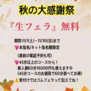 ヒメ日記 2025/11/01 12:51 投稿 らん アメリカンクリスタル