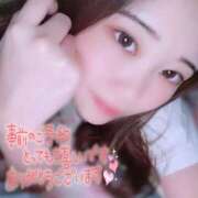 ヒメ日記 2025/11/26 12:04 投稿 らん アメリカンクリスタル