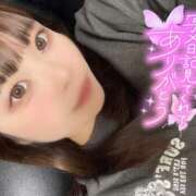 ヒメ日記 2026/03/11 09:01 投稿 らん アメリカンクリスタル