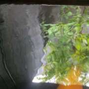 ヒメ日記 2025/10/29 13:28 投稿 香月優子(ゆうこ) 東京不倫～とうきょうふりん～