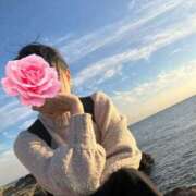 ヒメ日記 2025/12/29 12:58 投稿 香月優子(ゆうこ) 東京不倫～とうきょうふりん～