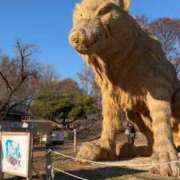 ヒメ日記 2026/01/07 15:18 投稿 香月優子(ゆうこ) 東京不倫～とうきょうふりん～