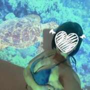 ヒメ日記 2025/12/11 10:57 投稿 みずき★キスが大好きピュア娘 かりゆしOLの秘密【20代沖縄美女多数在籍-デリヘル×ヌードエステ】