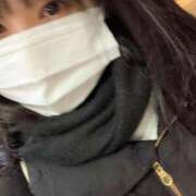 せな お久しぶりです！ 人妻・若妻デリヘル レディプレイス