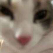 ヒメ日記 2025/10/14 12:06 投稿 みさ THE ESUTE HOUSE 柴田