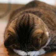 ヒメ日記 2025/10/19 11:31 投稿 凪沙　なぎさ 本庄人妻城