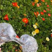 凪沙　なぎさ 太陽のパワーってすごい！！ 本庄人妻城