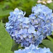 ヒメ日記 2026/06/11 13:52 投稿 凪沙　なぎさ 本庄人妻城