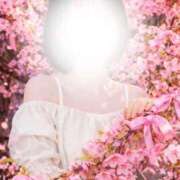 ヒメ日記 2026/03/12 20:51 投稿 高坂まき MIRAI TOKYO 六本木店