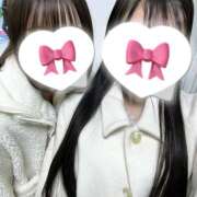 ヒメ日記 2025/12/06 16:10 投稿 しゅり みつばちマーヤZ