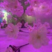 ヒメ日記 2025/10/16 23:00 投稿 ふぶき ラブリップ川越