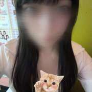 ヒメ日記 2025/10/23 17:48 投稿 もね みつばちマーヤZ