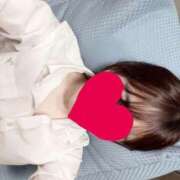 ヒメ日記 2025/10/19 04:36 投稿 みる 子猫カフェ 小倉店