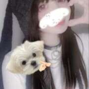 ヒメ日記 2026/01/17 19:29 投稿 みあ NEO不夜城