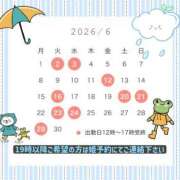 美波 🍒6月の出勤情報🐌🩵 Le CELINU（ル・セリーヌ）