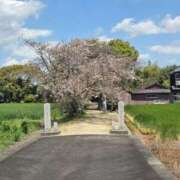 ヒメ日記 2026/04/12 19:33 投稿 きき CLUB DEEP 博多