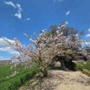 ヒメ日記 2026/04/13 12:43 投稿 きき CLUB DEEP 博多