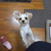 ヒメ日記 2026/04/16 12:23 投稿 きき CLUB DEEP 博多