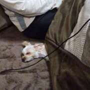 ヒメ日記 2026/04/20 23:17 投稿 きき CLUB DEEP 博多