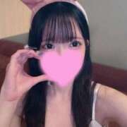 ヒメ日記 2025/11/22 13:31 投稿 かえで 恋するバニー