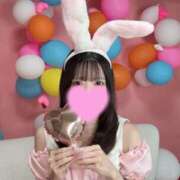 ヒメ日記 2026/04/03 12:05 投稿 かえで 恋するバニー