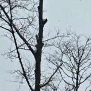 ヒメ日記 2026/02/11 12:19 投稿 ユウキ【名駅店】 マネキン 名駅店