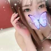 ヒメ日記 2025/11/20 08:19 投稿 みなみ FORTE