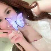 ヒメ日記 2025/12/15 09:59 投稿 みなみ FORTE