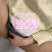 ヒメ日記 2025/12/13 15:56 投稿 白川 まりな 夜這い専門 発情する奥様たち梅田店