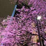 なな 次回は4/30〜行きます🌻 アネックスジャパン