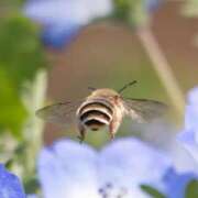 ヒメ日記 2026/03/14 01:10 投稿 莉愛【りあ】 ギャルズネットワークネクスト 京都