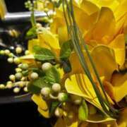 ヒメ日記 2025/11/26 19:53 投稿 のん 秋葉原コスプレ学園in仙台