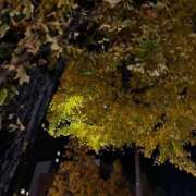 のん おやすみなさい 秋葉原コスプレ学園in仙台