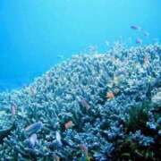 ヒメ日記 2025/10/18 13:04 投稿 うみ おいしい奥様