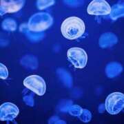 ヒメ日記 2025/10/26 04:23 投稿 うみ おいしい奥様