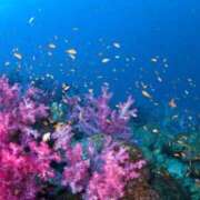 うみ 可愛くないの おいしい奥様