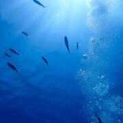 ヒメ日記 2025/12/19 01:22 投稿 うみ おいしい奥様