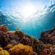 うみ 愛なんて おいしい奥様