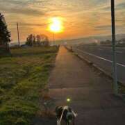 ヒメ日記 2025/11/27 09:41 投稿 あいす エンジェルマスカット