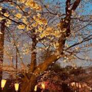 ヒメ日記 2026/03/27 20:01 投稿 あいす エンジェルマスカット