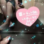 ヒメ日記 2025/11/02 08:47 投稿 サラ♡美Bodyスタイルバニー♡ ドMなバニーちゃん 名古屋・池下店